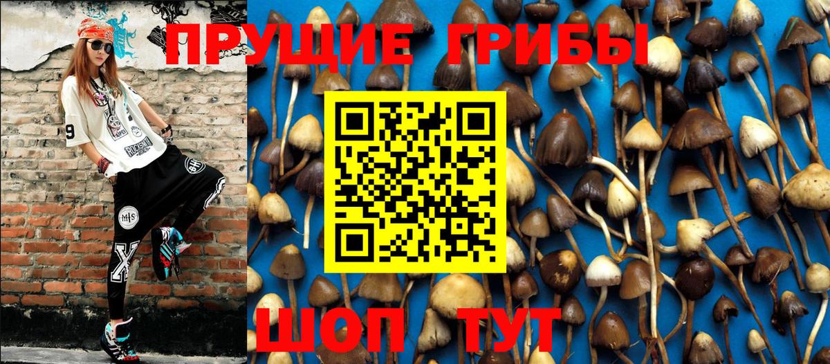 Галлюциногенные грибы мухоморы Усть-Илимск