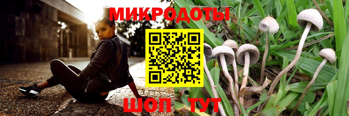 Псилоцибиновые грибы мухоморы  Вход с VPN  Усть-Илимск 